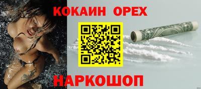 индика Бийск
