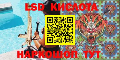 индика Бийск