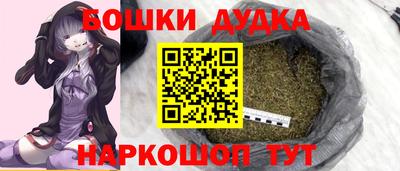 индика Бийск
