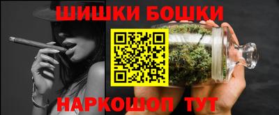 индика Бийск