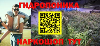 прущие грибы Берёзовский