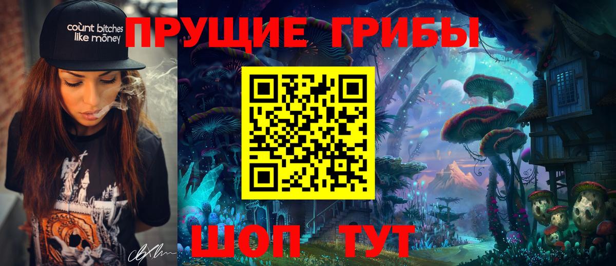 Кашира  Галлюциногенные грибы Psilocybe  Вход с VPN 
